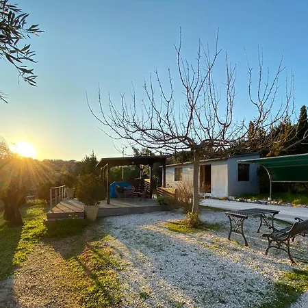 Olive Grove Country house Anavyssos