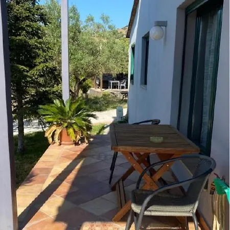 Country house Olive Grove