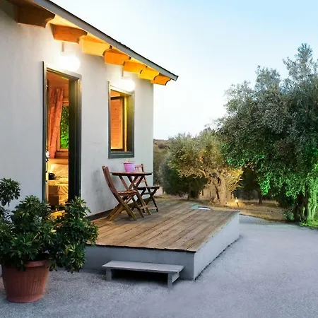 Olive Grove Country house Anavyssos