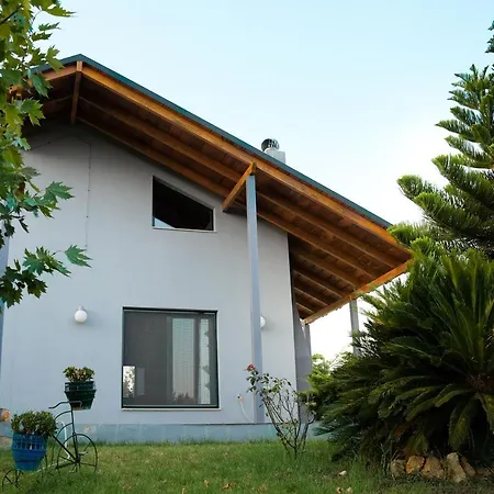 Country house Olive Grove Anavyssos